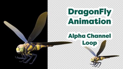 Videohive - Dragonfly Animation 02 - 48126326