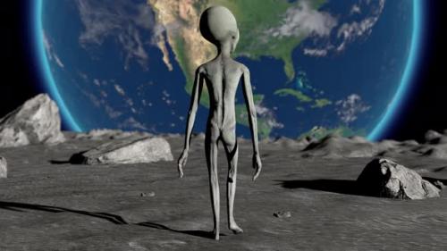 Videohive - Scary Gray Alien Walking on the Surface of the - 48226639