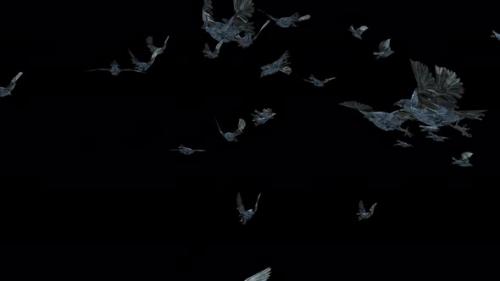 Videohive - 22 Crow Bird Bat Flying 4K - 48242330