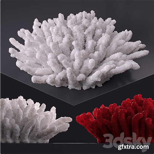 Decorative coral