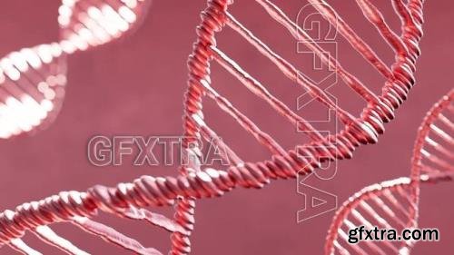 Pink DNA Strands Over Red Background 1603957