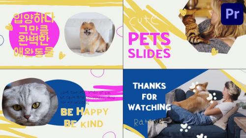 Videohive - Pets Slides | Premiere Pro MOGRT - 48337658