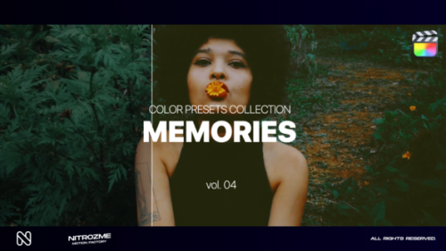 Videohive - Memories LUT Collection Vol. 04 for Final Cut Pro X - 48341858