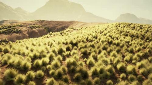 Videohive - A Vast Grassy Field with Majestic Mountains in the Distance - 48388298