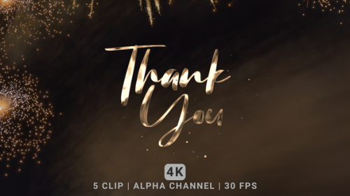 Videohive - Thank You Text Animation - 48368461