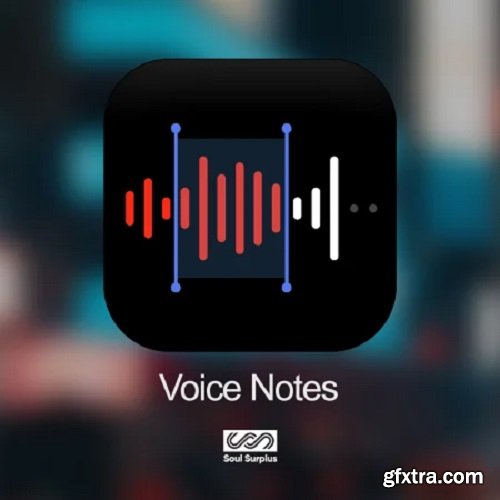 Soul Surplus Voice Notes