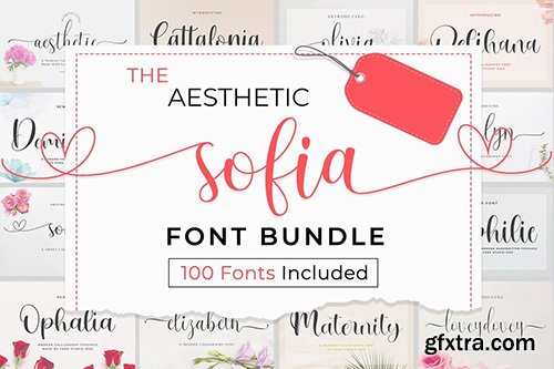 The Aesthetic Sofia Font Bundle