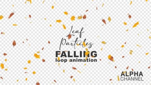 Videohive - Autumn Leaf Particles. Autumn Leaves - 48384110