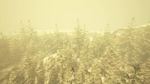 Videohive - A Stunning Winter Landscape with a Snowy Forest Seen From Above - 48386744