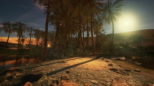 Videohive - A Digitallyrendered Desert Landscape with Palm Trees - 48387877