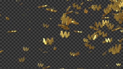 Videohive - Falling Won Currency Golden Loop V3 - 48303108