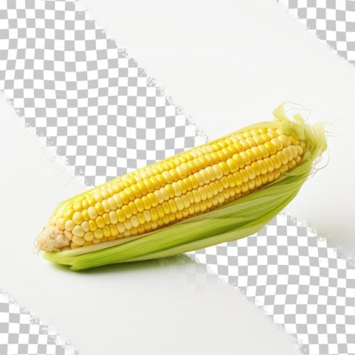 Premium PSD | Isolated white corn cob transparent background Premium PSD