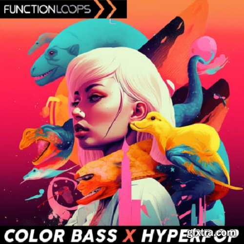 Function Loops Color Bass x Hyperpop