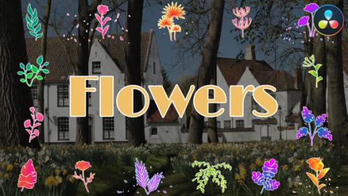 Videohive - Flowers Pack for DaVinci Resolve - 48634910
