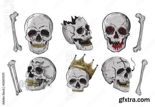 Skull Skeleton Illustrations 530171171