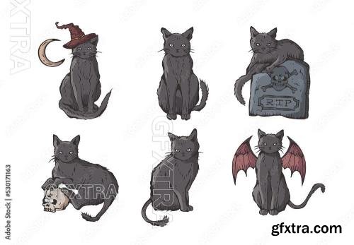 Black Cat Illustrations for Halloween 530171163