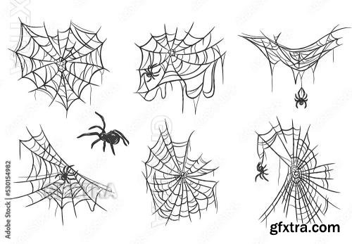Spider Web Illustrations 530154982