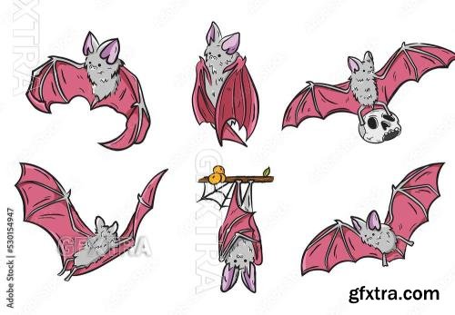 Vampire Bat Illustrations 530154947