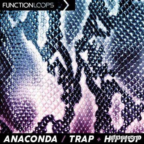 Function Loops Anaconda Trap and Hiphop