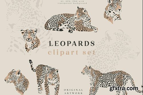Leopards Illustrations Portrait Vector Set X5RHG8Y