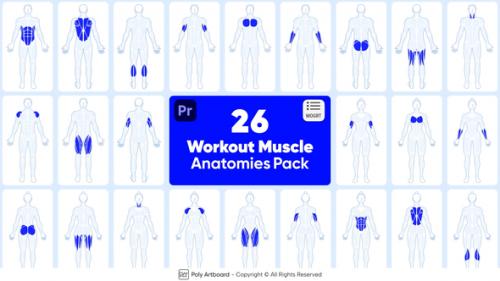 Videohive - Workout Muscle Anatomies Pack For Premiere Pro - 48592915