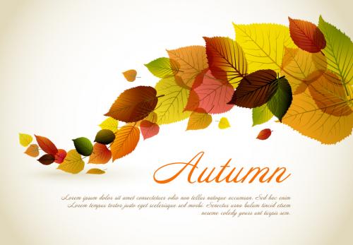 Adobe Stock - Autumn Leaves Card Layout 3 - 153231883