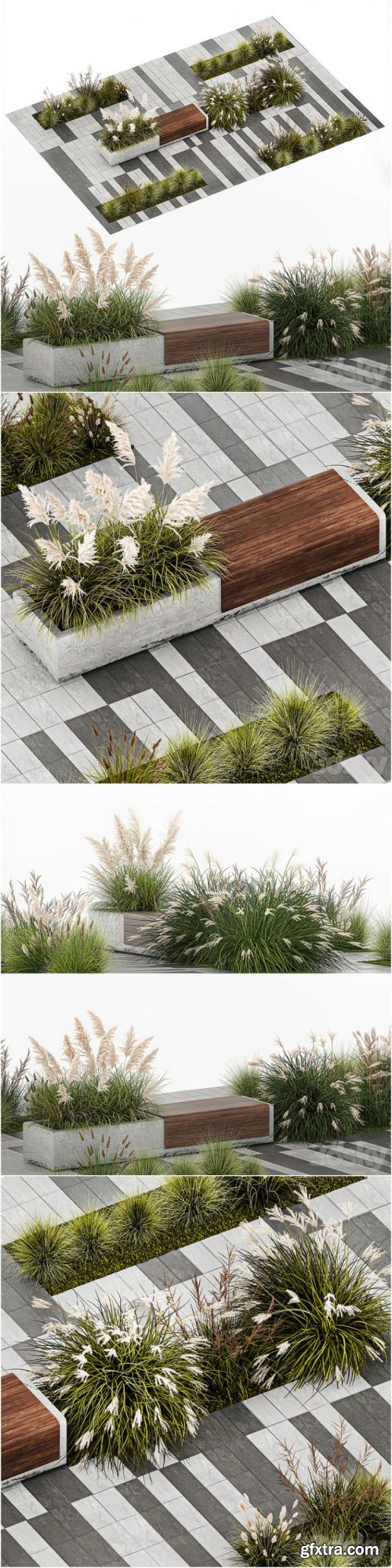 Flower bed with feather grass bushes, Miscanthus, Cortaderia and white pampas grass, bench and bench paving slabs. 1147