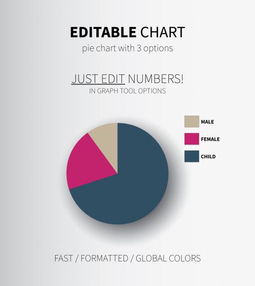 Adobe Stock - Dynamic Pie Chart Layout - 166710581