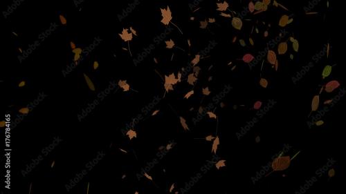 Adobe Stock - Autumn Leaves Falling - 176784165