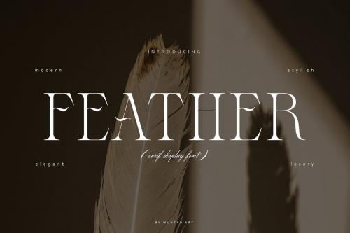 Feather | Display Serif