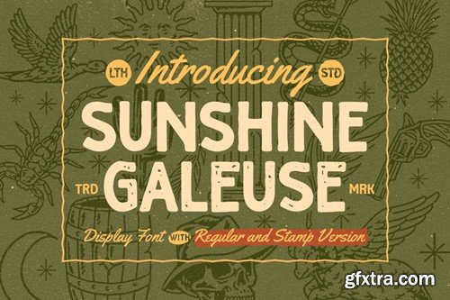 Sunshine Galeuse H79ANGB