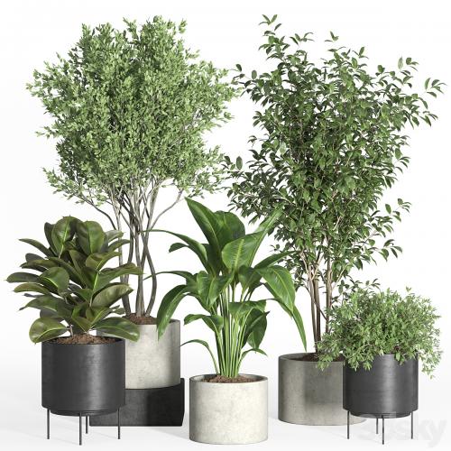 indoor plant set 35-concrete and metal pot