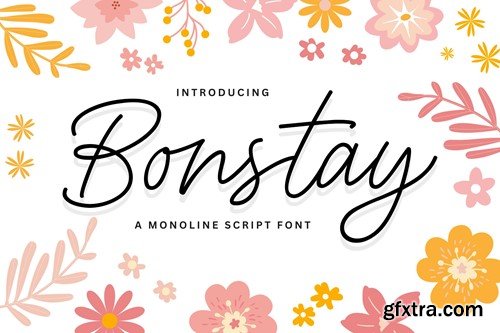 Bonstay - A Monoline Script Font SVRW96W