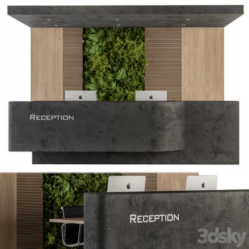 Reception Desk and Wall Decoration - Set 07