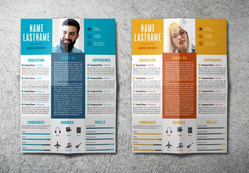 Adobe Stock - Resume Layout in Two Colors - 213276167