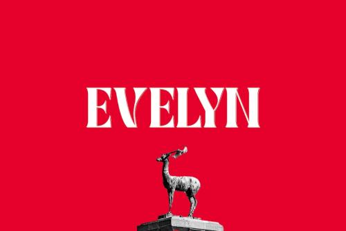 Evelyn Display
