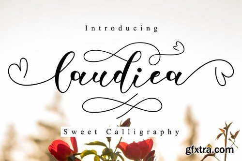Laudiea - A Lovely Script Font VL82GSK