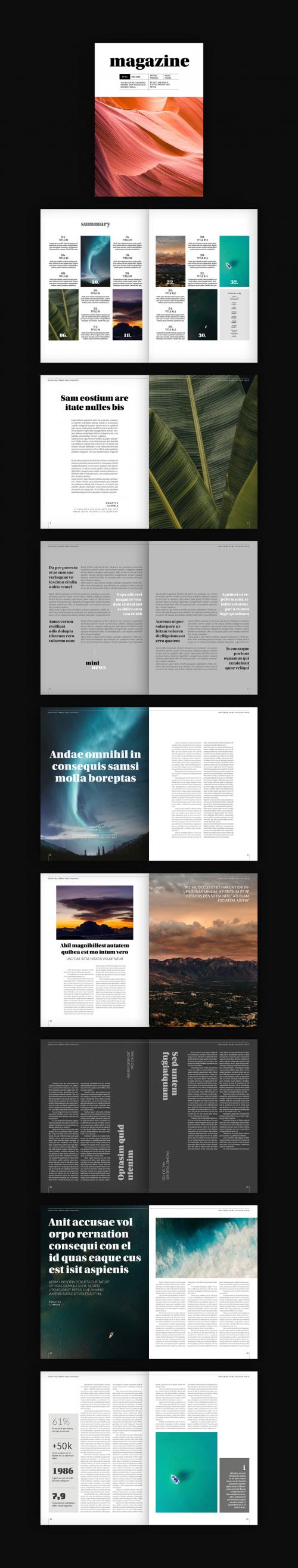 Adobe Stock - Magazine Layout with Gray Accents - 228387120