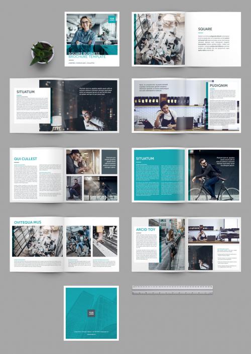 Adobe Stock - Square Brochure Layout with Teal Accents - 233806433