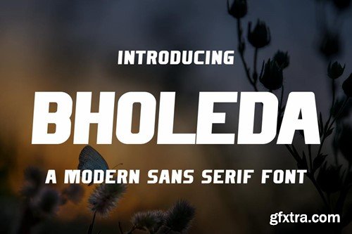 Bholeda Sans Serif Font RFDFKNJ