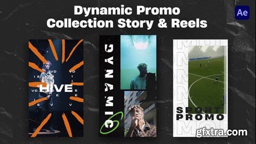 Videohive Dynamic Promo Collection Story & Reels 49147476