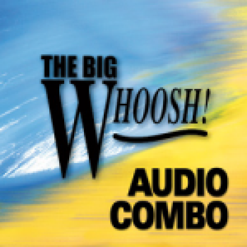 AudioHero - WIND WHOOSHES, WINDY TRAILING WHOOSH - 14532720