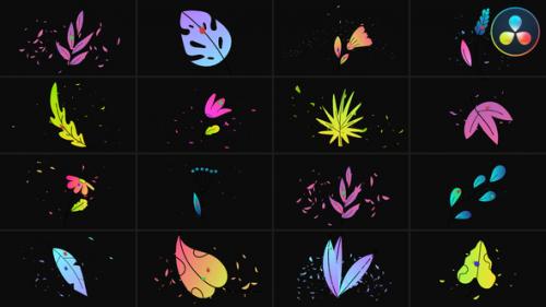 Videohive - Flowers Pack for DaVinci Resolve - 48963300
