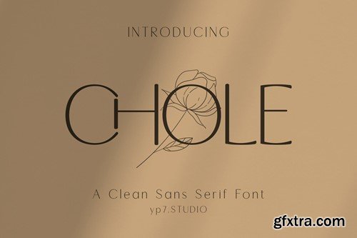 Modern Clean Sans Serif Font JQ56FVJ