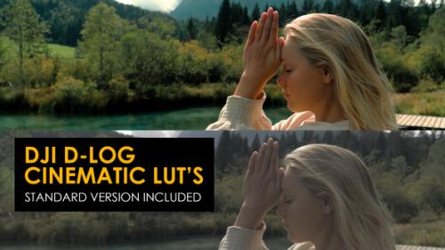 Videohive - DJI D-Log and Standard Color LUTs - 48915276