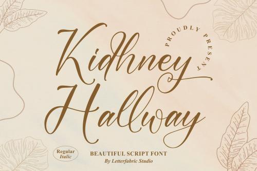 Kidhney Hallway Script Font