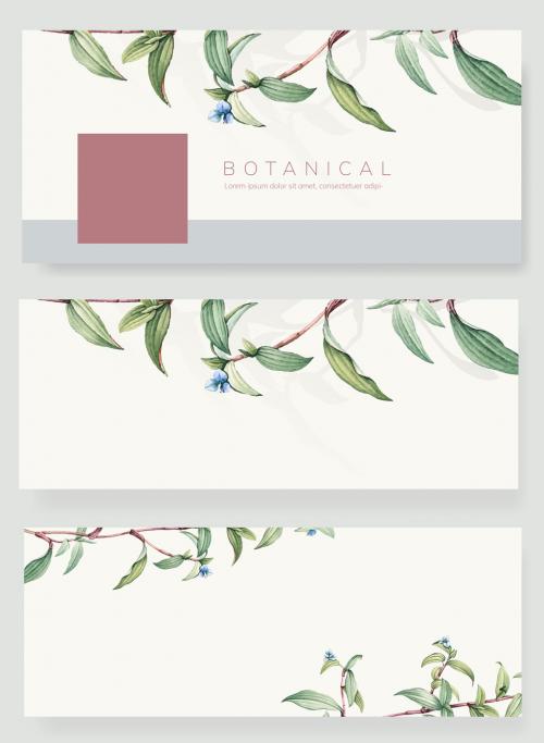 Adobe Stock - Social Media Banner Layouts with Botanical Illustrations - 250905419
