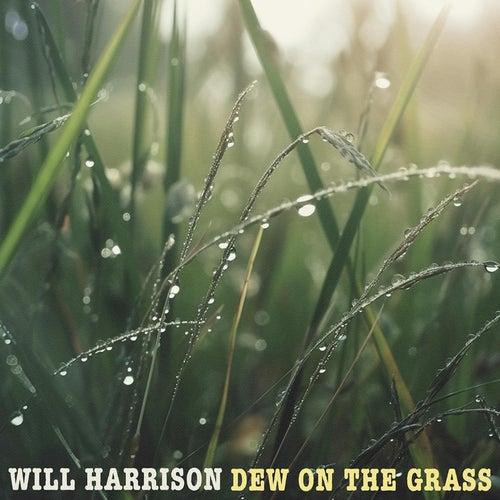 Epidemic Sound - Dew on the Grass - Wav - CCyaxeirMJ