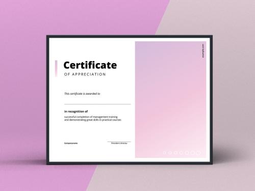 Adobe Stock - Award Certificate Layout with Pink Gradient Element - 255264707