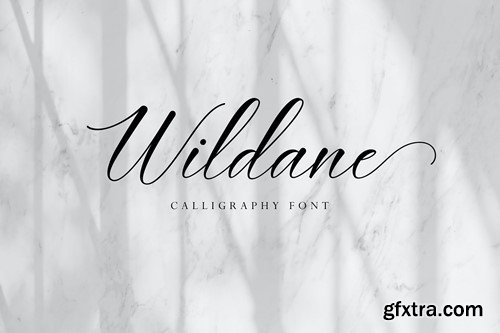 Wildane | Calligraphy Font HZG2LWK